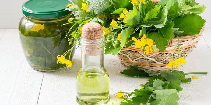 celandine oil against fungus